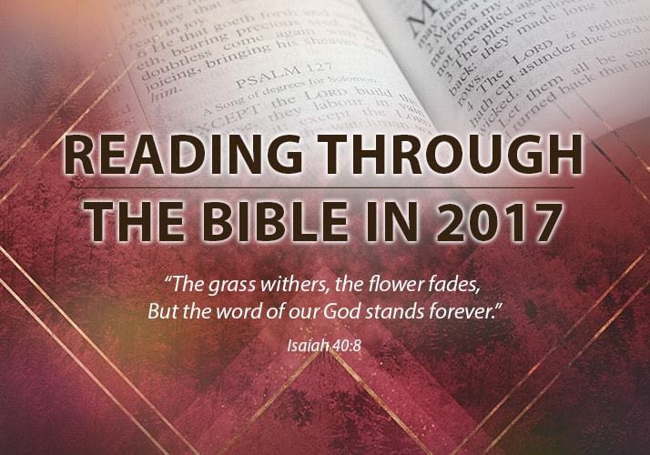 Reading the bible 2017